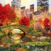 Bluebird Puzzle Central Park In New York - Puzzel Van 4000 Stukjes -online speelgoedwinkel! bluebird puzzle central park in new york puzzel va