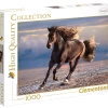Clementoni Wild Paard - Puzzel Van 1000 Stukjes -online speelgoedwinkel! clementoni wild paard puzzel van 1000 stukjes