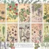Cobble Hill Botanische Kruiden Door Verneuil - Puzzel Van 1000 Stukjes -online speelgoedwinkel! cobble hill botanische kruiden door verneuil puzze