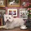 Cobble Hill Westies Zijn Mijn Type - Puzzel Van 1000 Stukjes -online speelgoedwinkel! cobble hill westies zijn mijn type puzzel van 1000