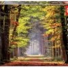 Educa Herfstwandeling - Puzzel 1000 Stukjes