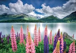 Educa Lupines Aan De Oever - Legpuzzel Van 1500 Stukjes -online speelgoedwinkel! educa lupines aan de oever legpuzzel van 1500 stuk 1
