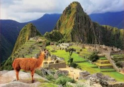 Educa Machu Picchu - Peru - Legpuzzel Van 1000 Stukjes