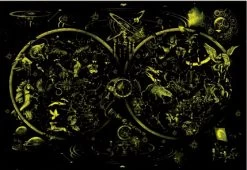 Educa Sterrenbeelden - Glow In The Dark - Puzzel 1000 Stukjes -online speelgoedwinkel! educa sterrenbeelden glow in the dark puzzel 1000 2