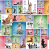 Eurographics Puzzles Yoga Dogs - Collage - Puzzel Van 1000 Stukjes