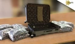 Grafika Reis Rond De Wereld - Puzzel Van 48000 Stukjes -online speelgoedwinkel! grafika reis rond de wereld puzzel van 48000 stukj 3