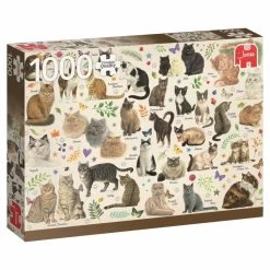 Jumbo Poezenposter - Puzzel Van 1000 Stukjes -online speelgoedwinkel! jumbo poezenposter puzzel van 1000 stukjes 3
