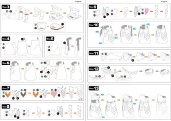 Metal Earth The Mountain - GOT - Iconx 3D Puzzel -online speelgoedwinkel! metal earth the mountain got iconx 3d puzzel 7