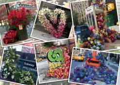 Ravensburger Beschadigde Verpakking - Bloemenpracht In New York - Puzzel Van 1000 Stukjes -online speelgoedwinkel! ravensburger beschadigde verpakking bloemenpracht 1