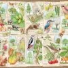 Ravensburger Bijzondere Bomen- Puzzel Van 1000 Stukjes