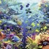 Ravensburger Onderwaterparadijs - 9000 Stukjes -online speelgoedwinkel! ravensburger onderwaterparadijs 9000 stukjes