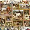 SUNSOUT Barbara Behr - On The Farm - Legpuzzel Van 300 XXL Stukjes