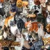 SUNSOUT Cat Collage - Legpuzzel Van 300 XXL Stukjes 1 SUNSOUT Cat Collage - Legpuzzel Van 300 XXL Stukjes -online speelgoedwinkel! sunsout cat collage legpuzzel van 300 xxl stukjes