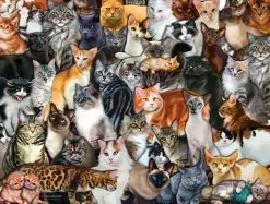 SUNSOUT Cat Collage - Legpuzzel Van 300 XXL Stukjes