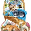 SUNSOUT Gratis Kittens - Legpuzzel Van 1000 Stukjes -online speelgoedwinkel! sunsout gratis kittens legpuzzel van 1000 stukjes
