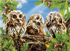 SUNSOUT Lori Schory - Hear No Speak No See No - Legpuzzel Van 300 XXL Stukjes