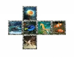 V-Cube V-2 Sea World - Kubus -online speelgoedwinkel! v cube v 2 sea world kubus 2